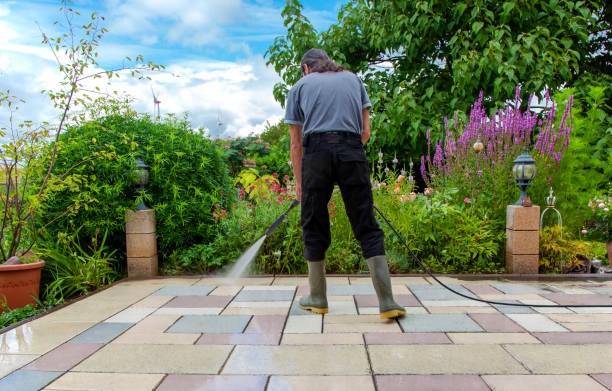 Professional Pressure Washing Services in Cienega Springs, AZ
