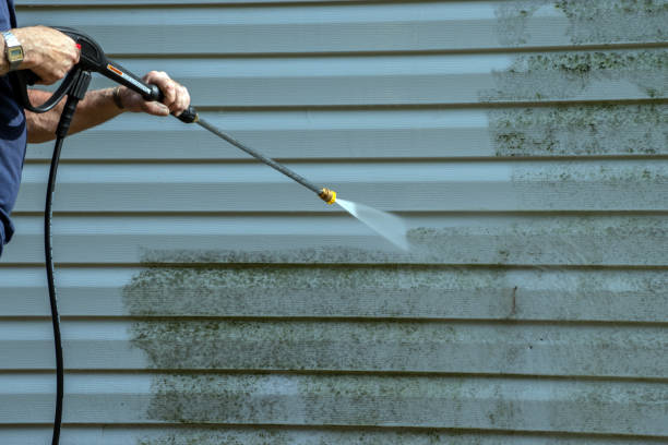 Best Patio and Deck Pressure Washing  in Cienega Springs, AZ